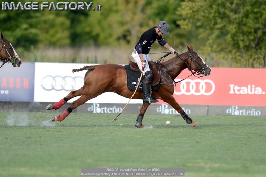2013-09-14 Audi Polo Gold Cup 0300